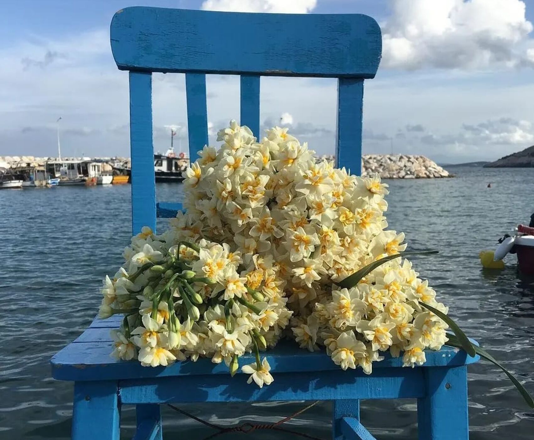 EGE'NİN EN RENKLİ KIŞ FESTİVALİ - NERGİS FESTİVALİ ROTASI