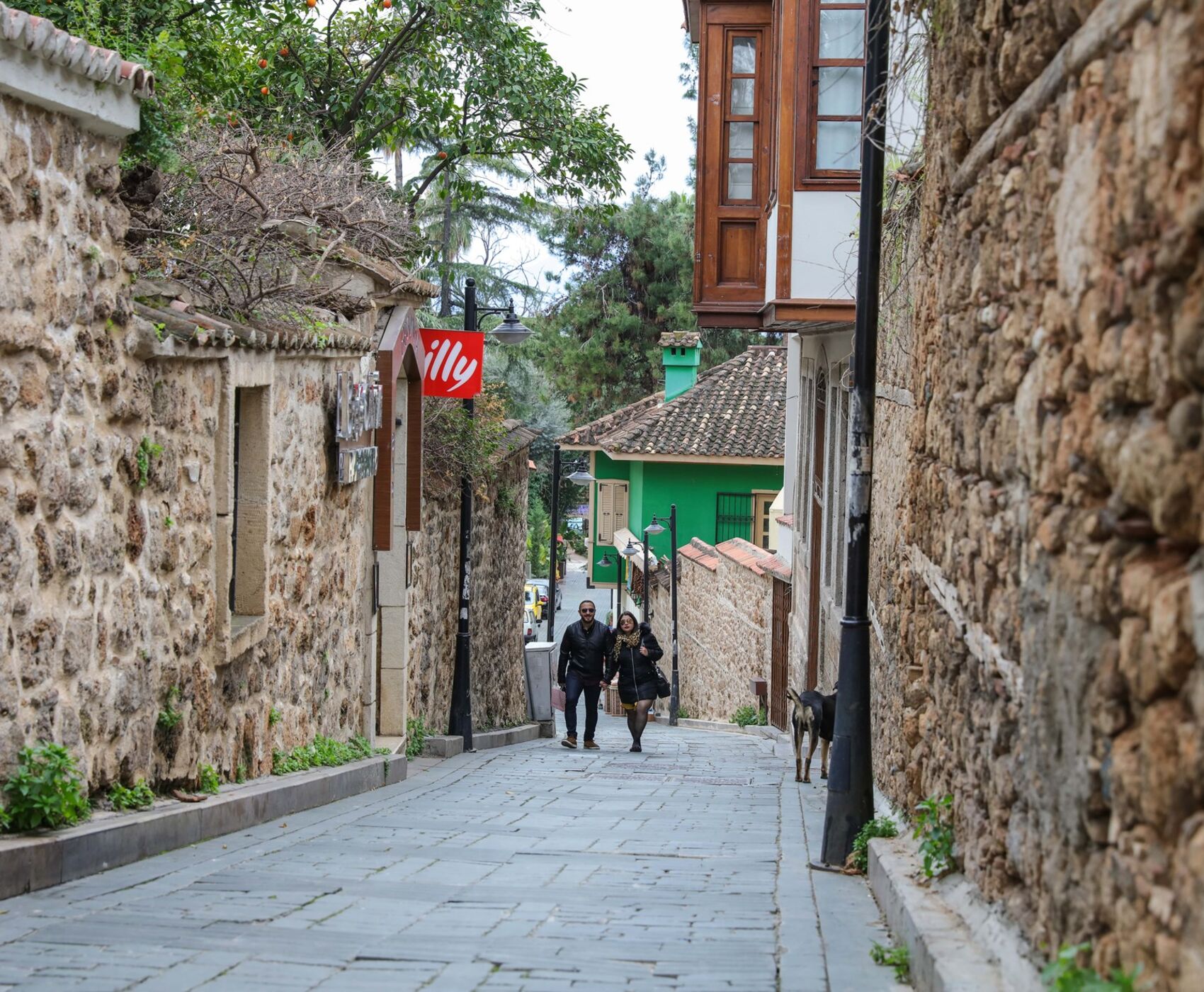 تور گشت شهری