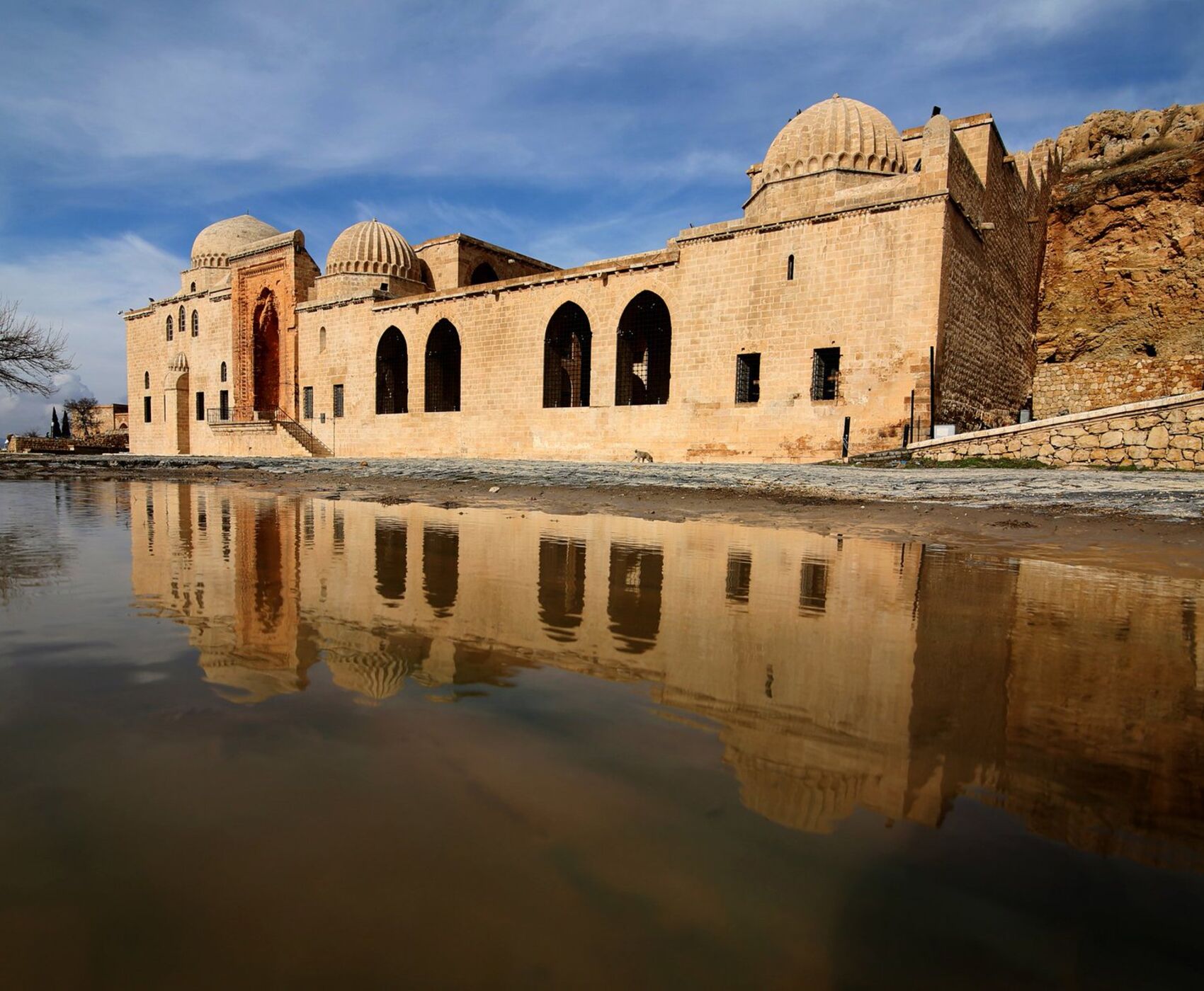 تور گاپ ویژه زمستان