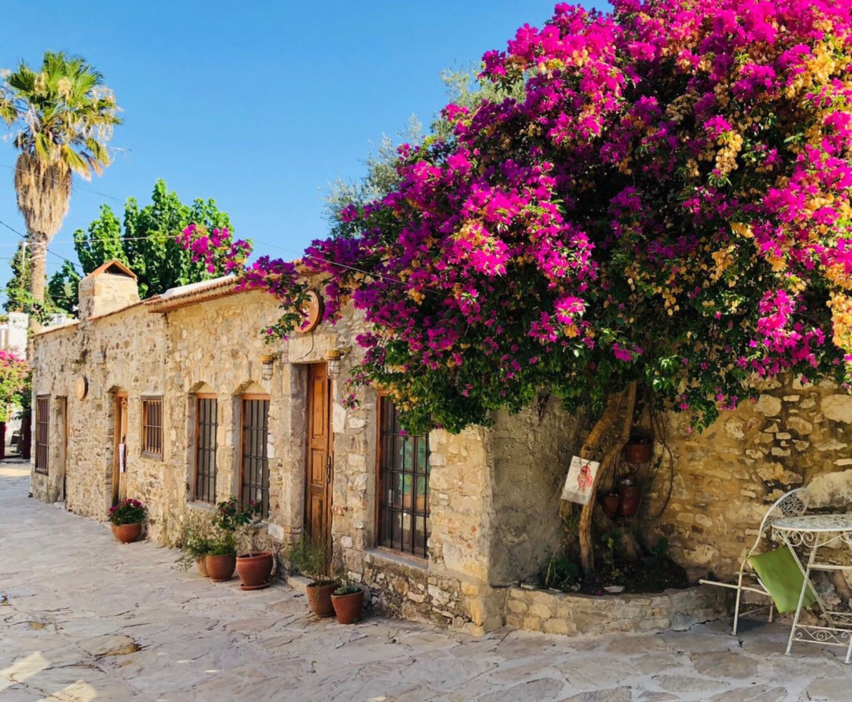 فستیوال غنچه های بادام داتچا