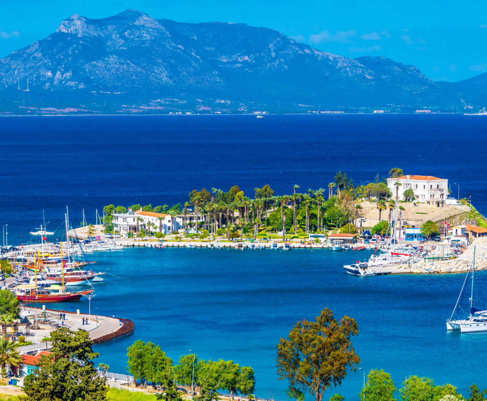 فستیوال غنچه های بادام داتچا