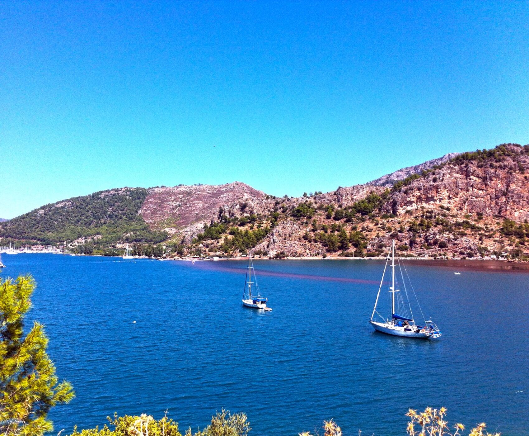 فستیوال غنچه های بادام داتچا