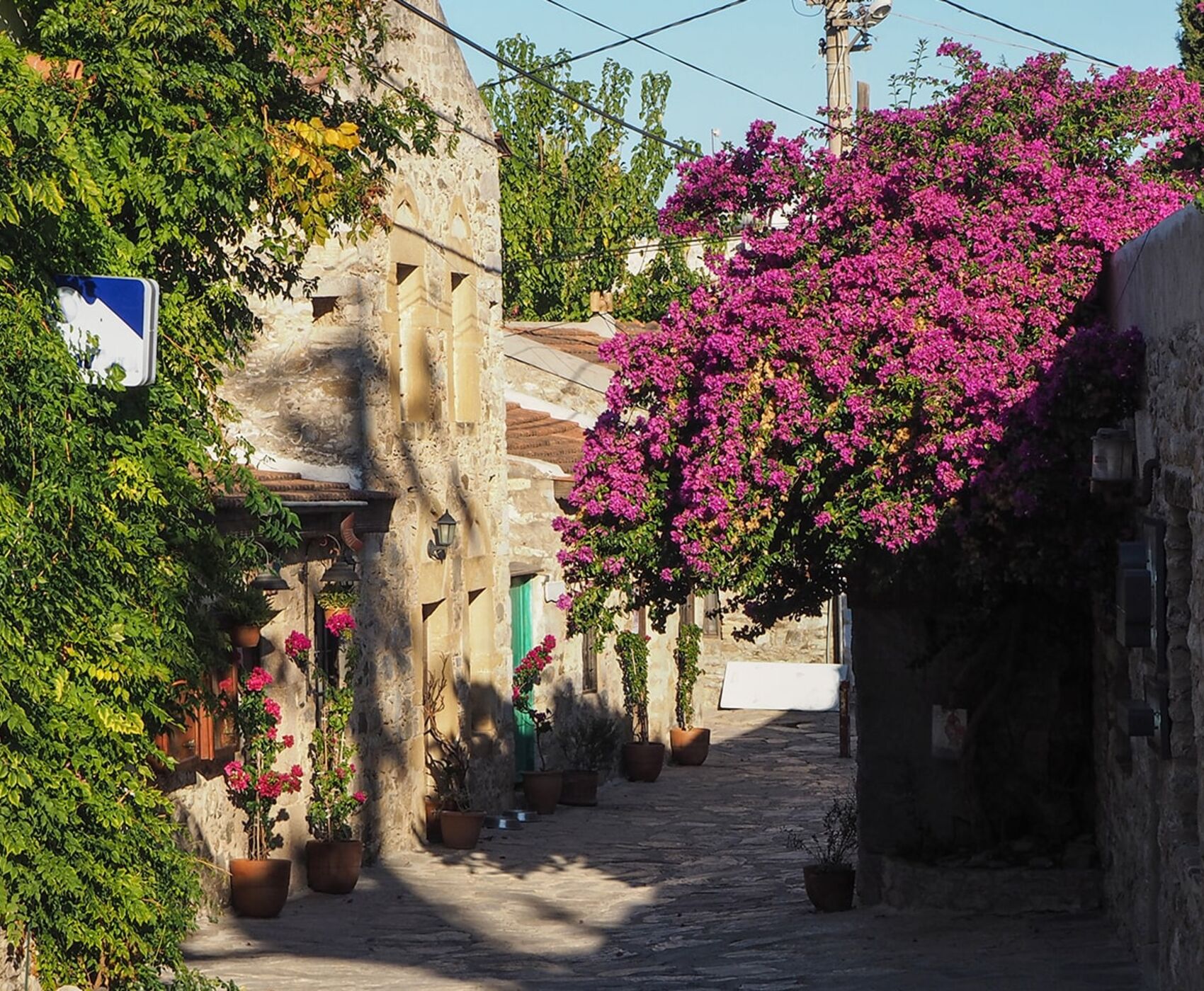 فستیوال غنچه های بادام داتچا