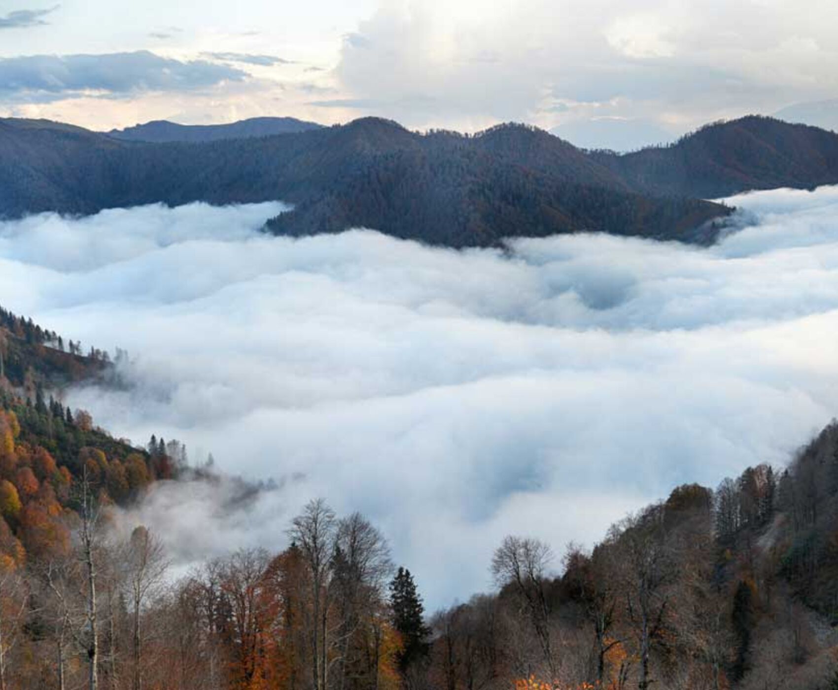 تورهوایی دریای سیاه وان قارص و باتومی هشت شب 