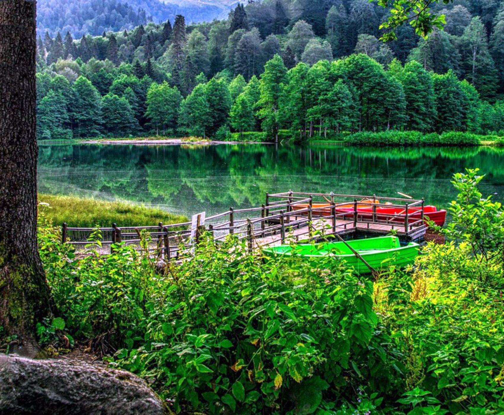 تورهوایی دریای سیاه وان قارص و باتومی هشت شب 