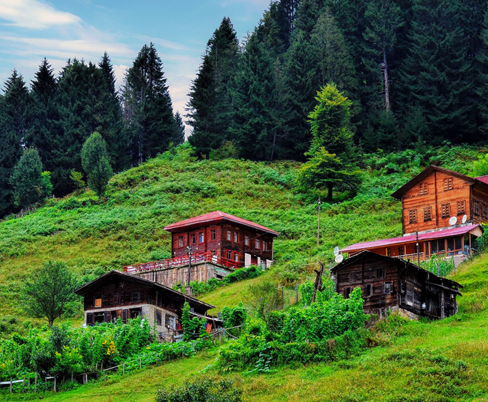 تورهوایی دریای سیاه وان قارص و باتومی هشت شب 