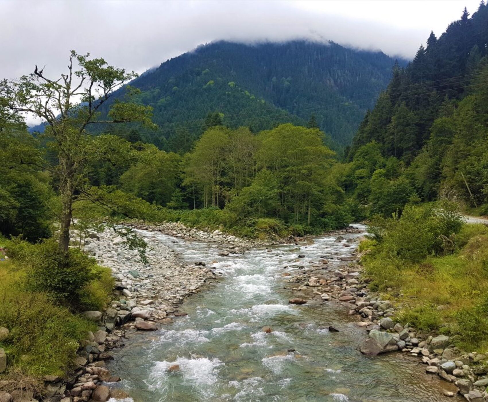 تورهوایی دریای سیاه وان قارص و باتومی هشت شب 