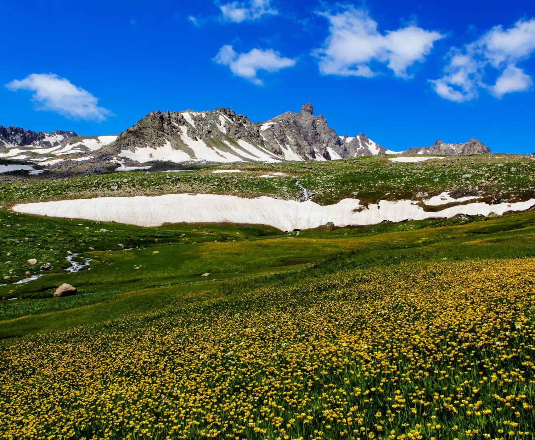 تور هوایی وان هاکاری و ماردین
