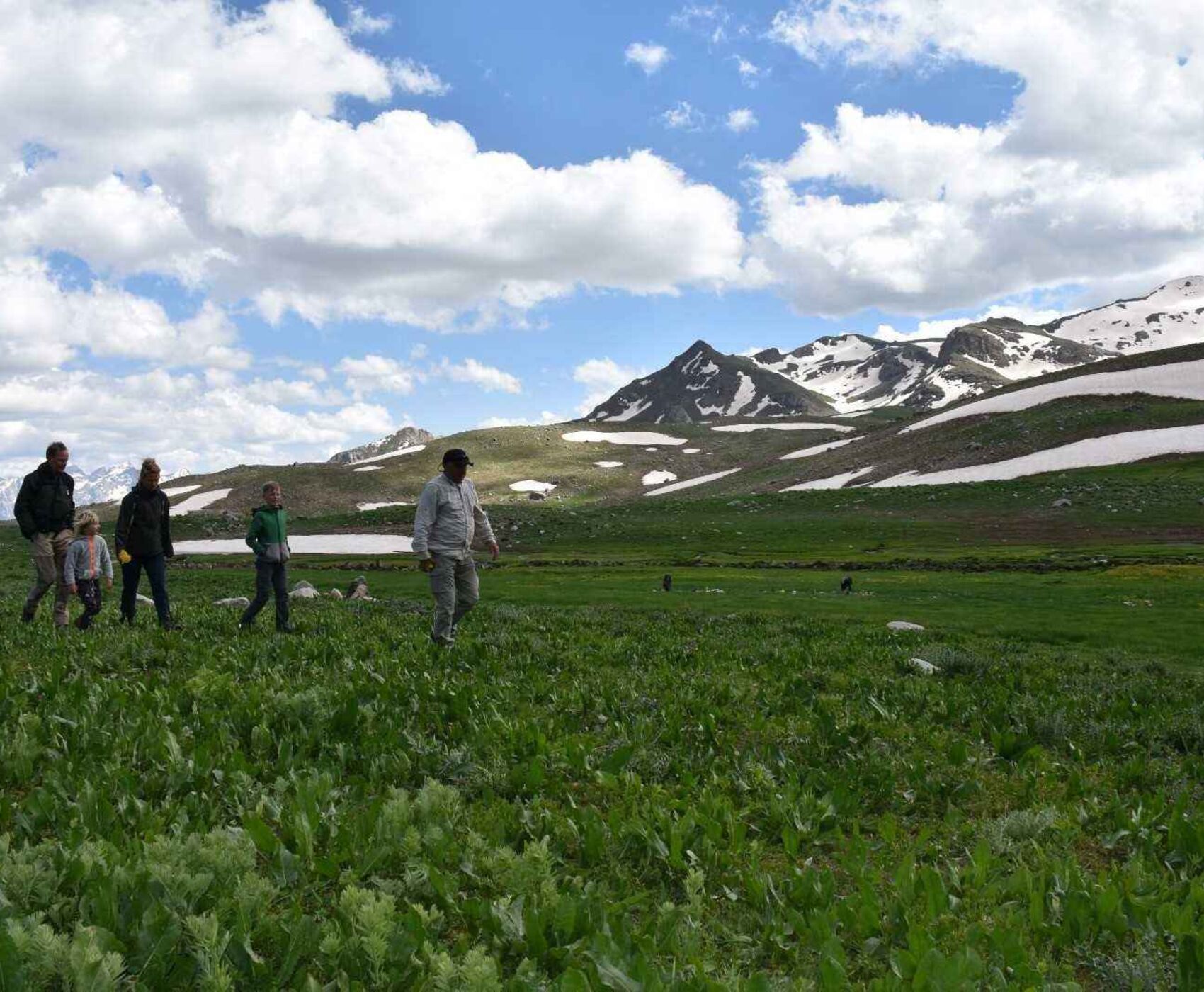 تور هوایی وان هاکاری و ماردین