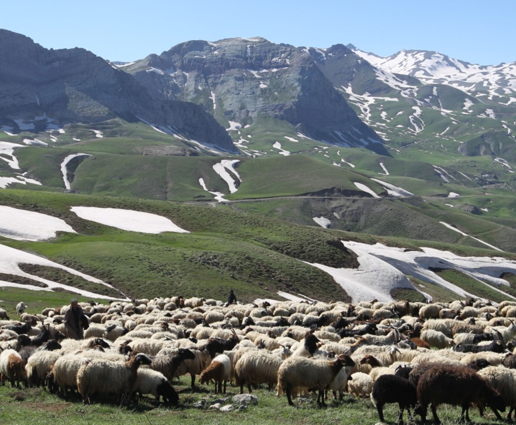تور هوایی وان هاکاری و ماردین