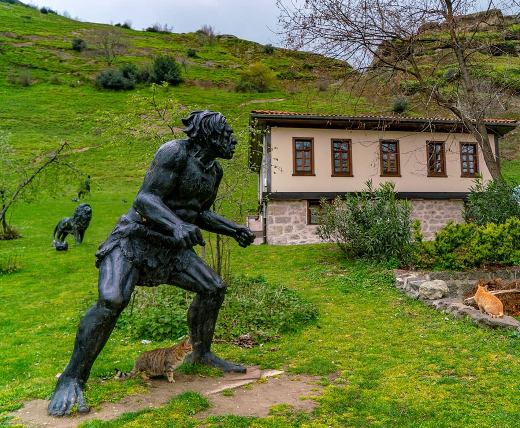 UÇAKLI SAMSUN SİNOP KASTAMONU SAFRANBOLU  19 MAYIS  ÖZEL TURU