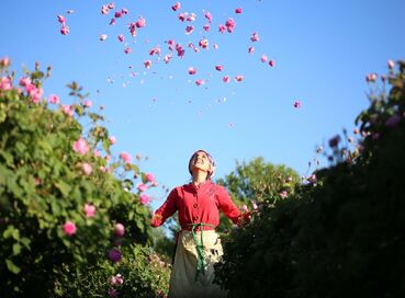 دریاچه ایقدیر رز فیلدها و دریاچه بیشهیر گل های نیلوفر و دره لک لک ها