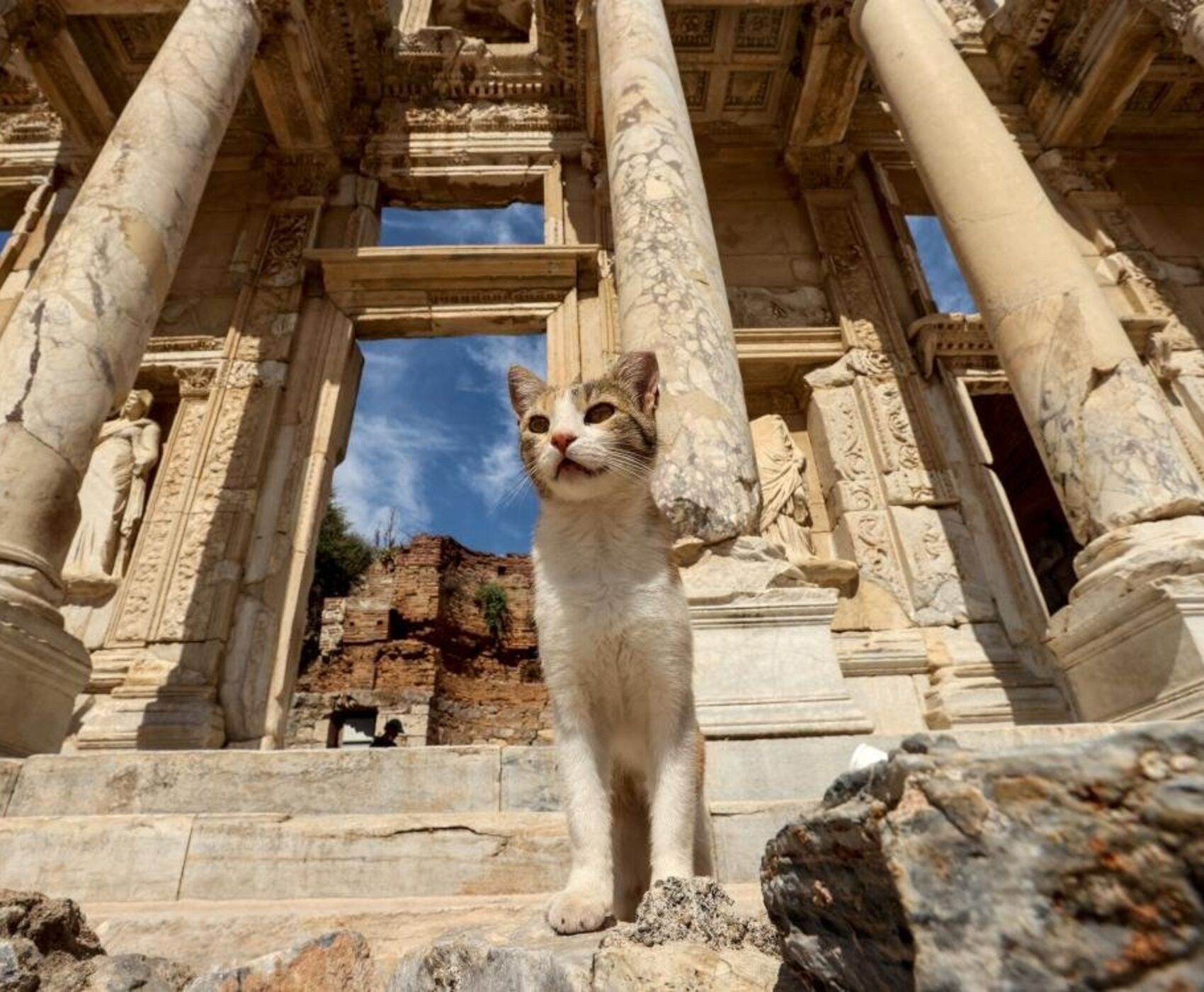 بدروم - دیدیم - کوش آداسی - ازمیر - آلاکاتی - چسمه - فوچا - شیرینجه