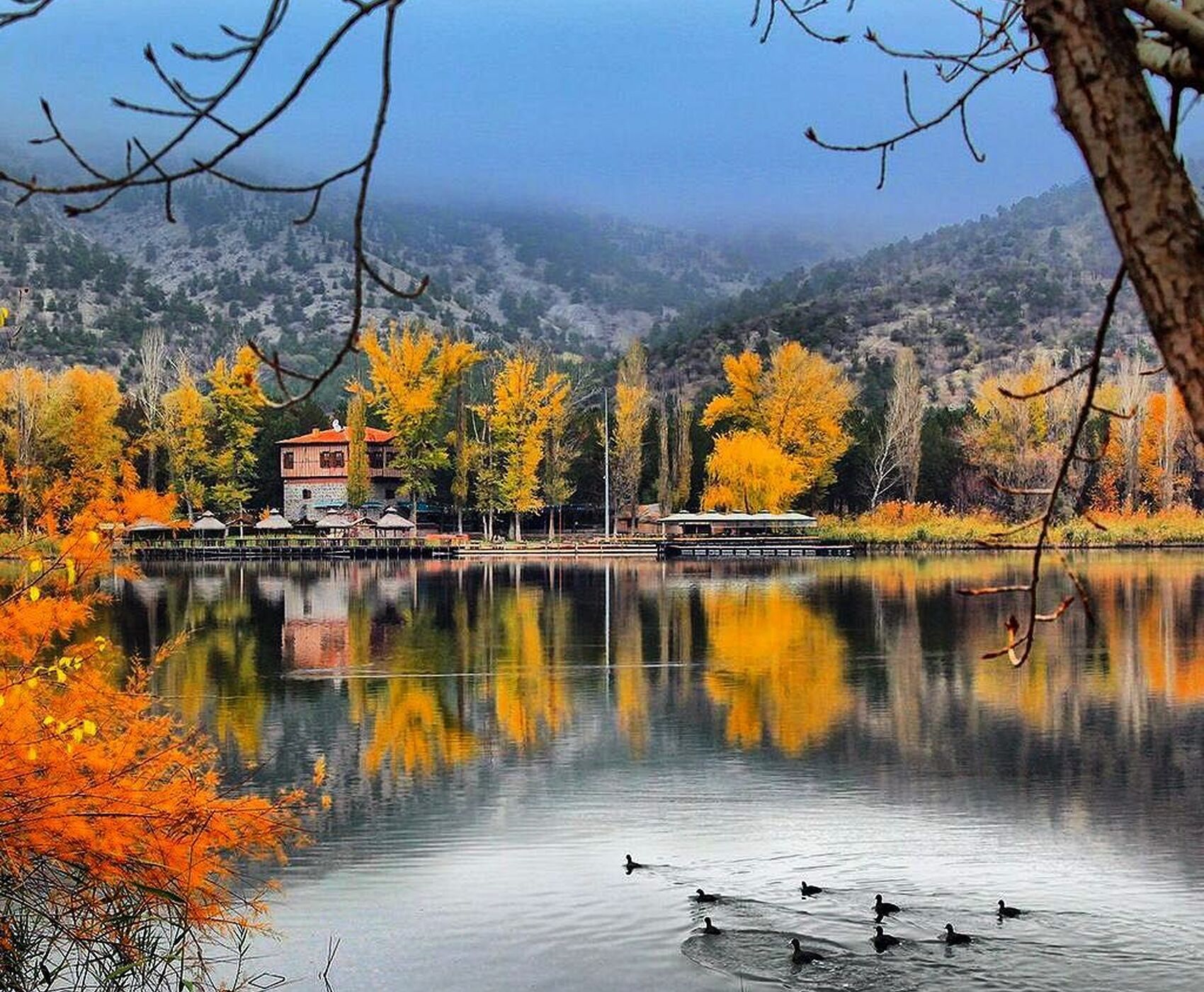 جشنواره گل بایندیر