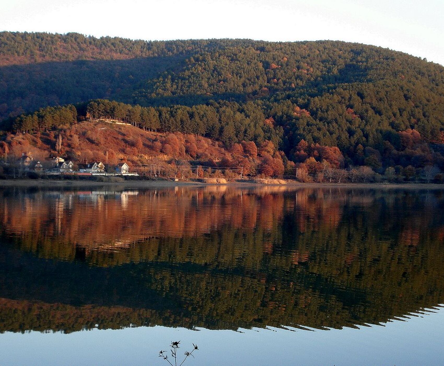 جشنواره گل بایندیر