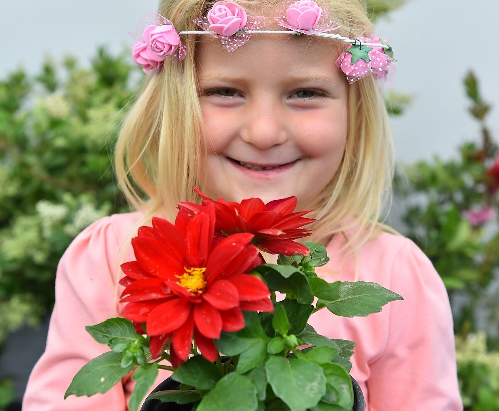 جشنواره گل بایندیر