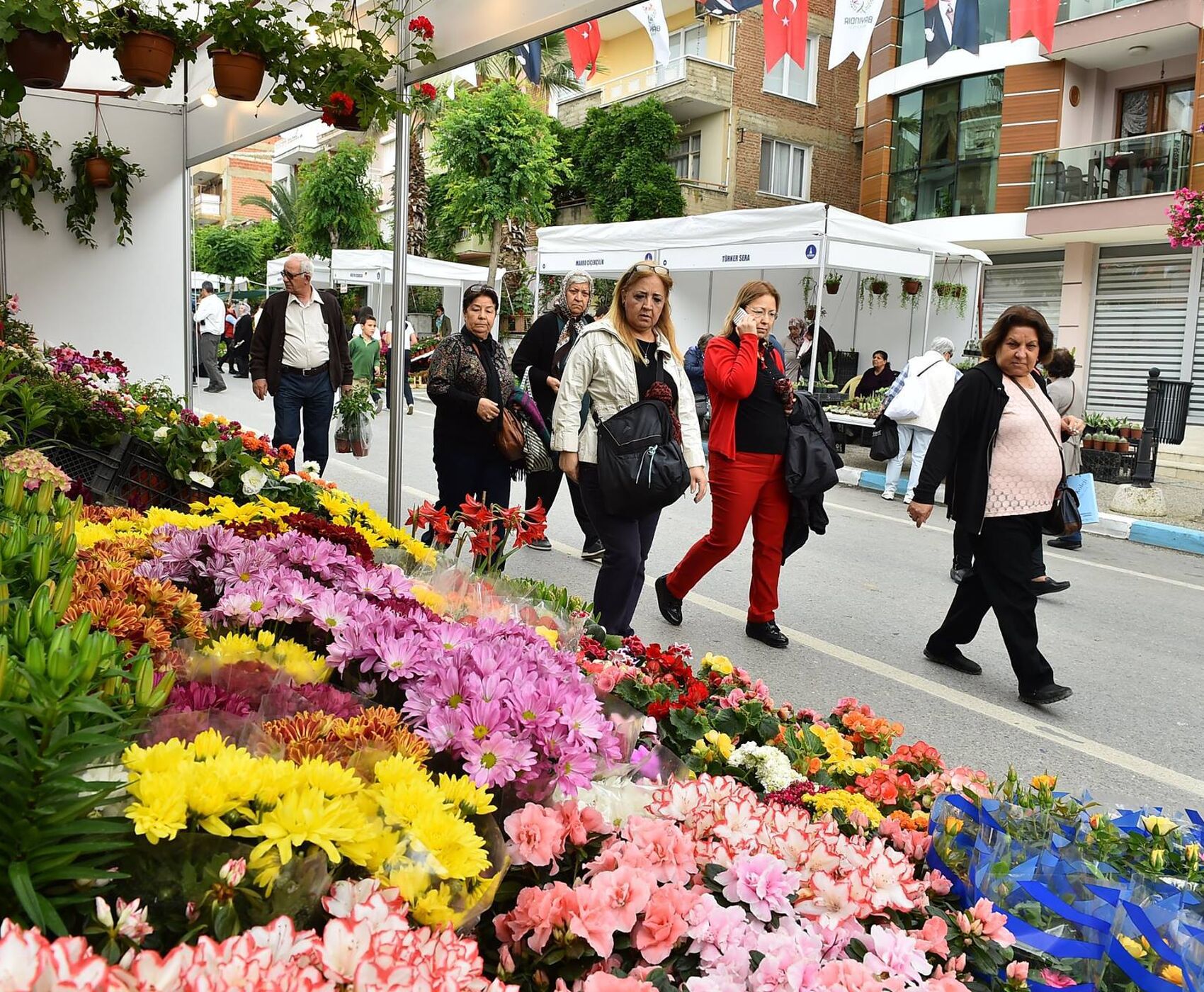 جشنواره گل بایندیر