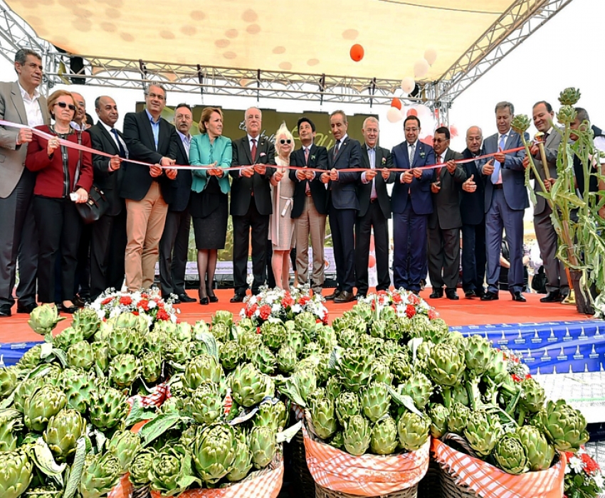 URLA ENGİNAR FESTİVALİ