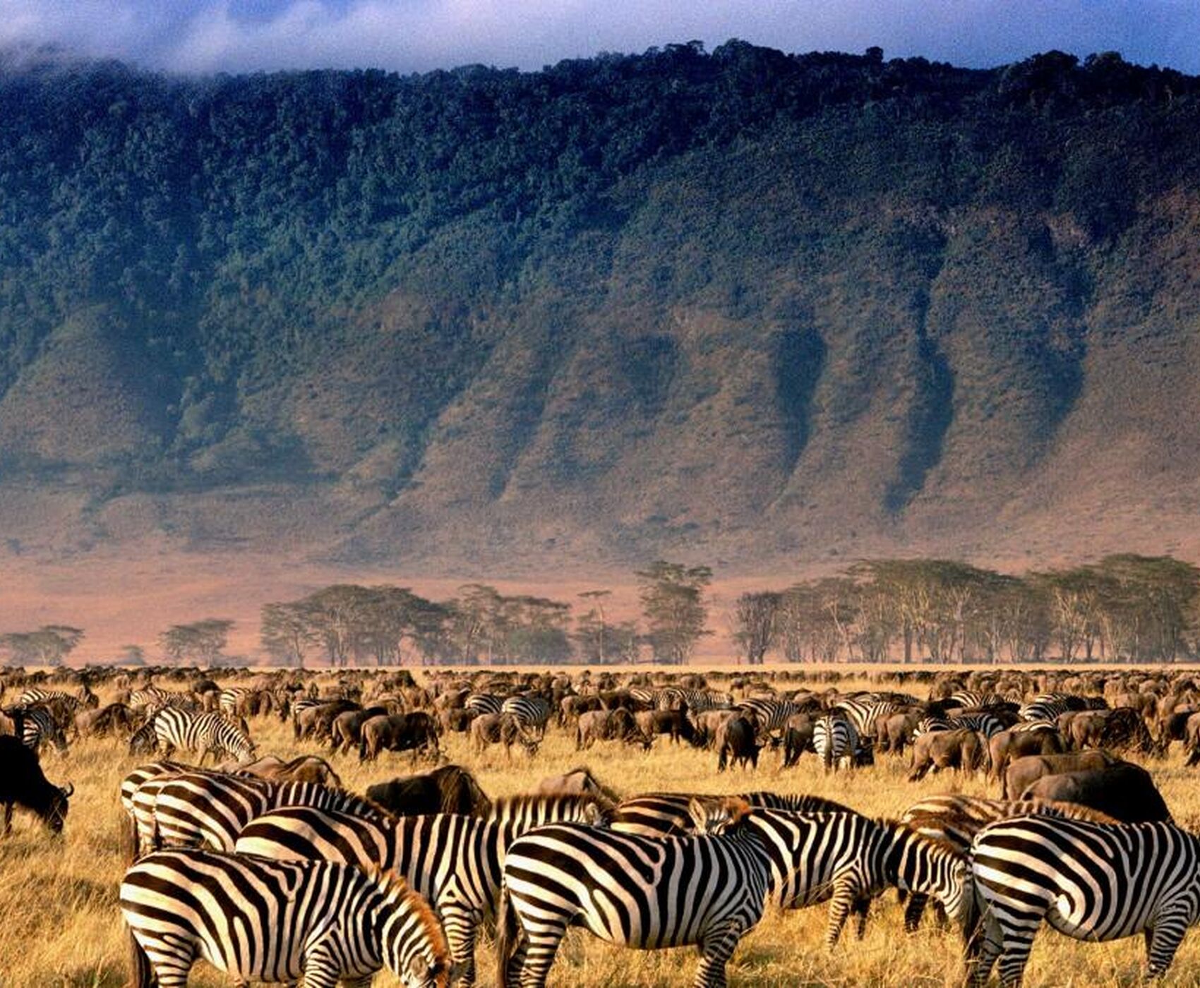 ANTALYA DAN İSTANBUL AKTARMALI TANZANYA & ZANZİBAR