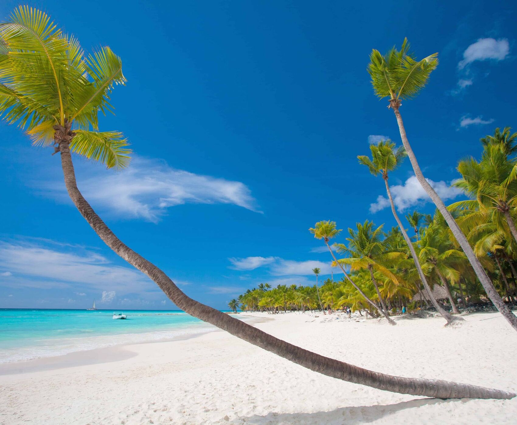 ANTALYA DAN İSTANBUL AKTARMALI TANZANYA & ZANZİBAR