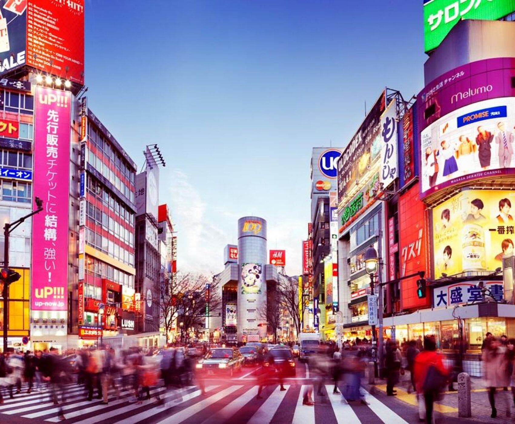 Japonya Turu Kampanya Miat HY