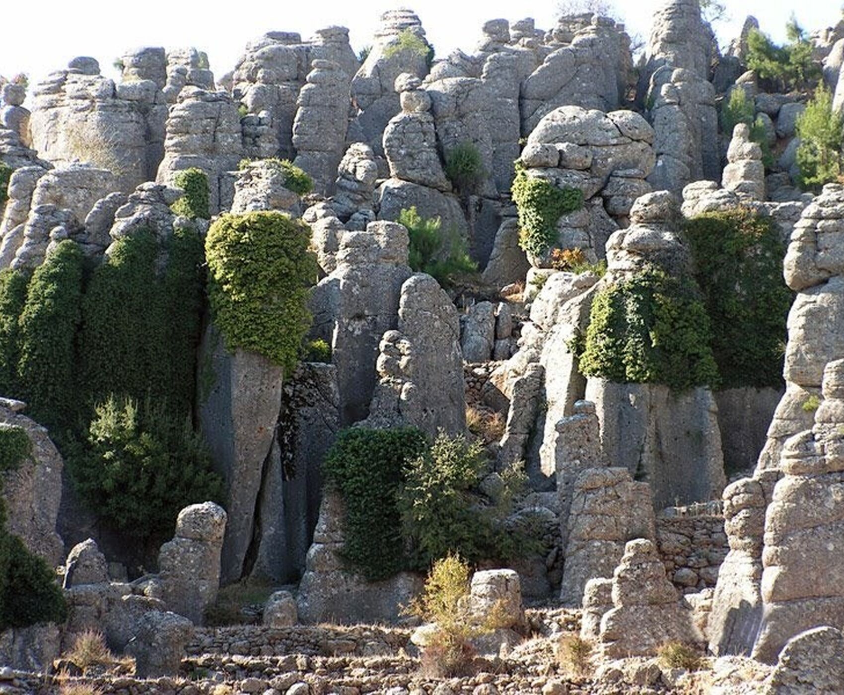 TAZI KANYONU - KÖPRÜLÜ KANYON - ADAM KAYALAR - SELGE ANTİK KENTİ