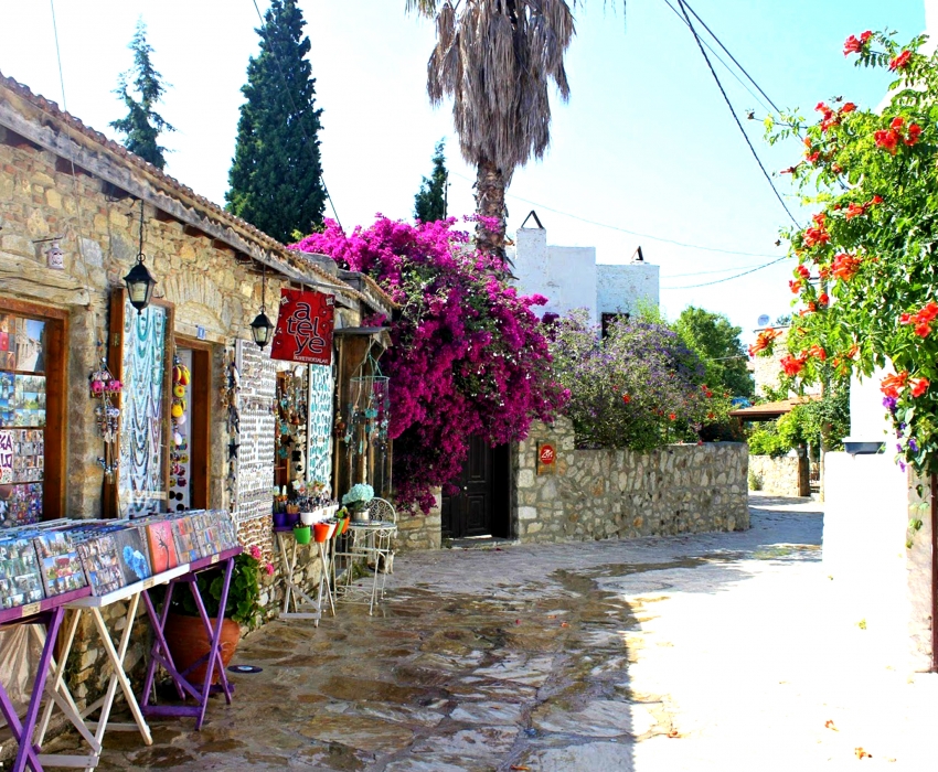 فستیوال غنچه های بادام داتچا