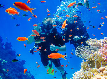 Sharm El Sheikh - Kızıldeniz Rotası (3 Gece - Rixos Otelleri)