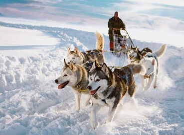 Dolu Dolu Lapland Turu Beyaz Rotalar (3 Gece)