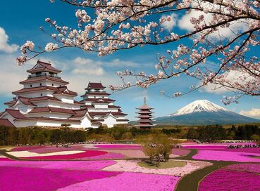 Güney Kore ve Japonya Turu - Qatar Airways Hava Yolları ile