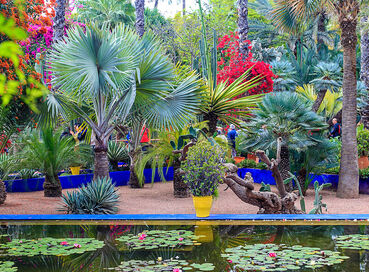 23 Nisan Özel Görkemli Fas Krallığı ve Mistik Şehirler  (Tüm Turlar ve Akşam Yemekleri Dahil)
