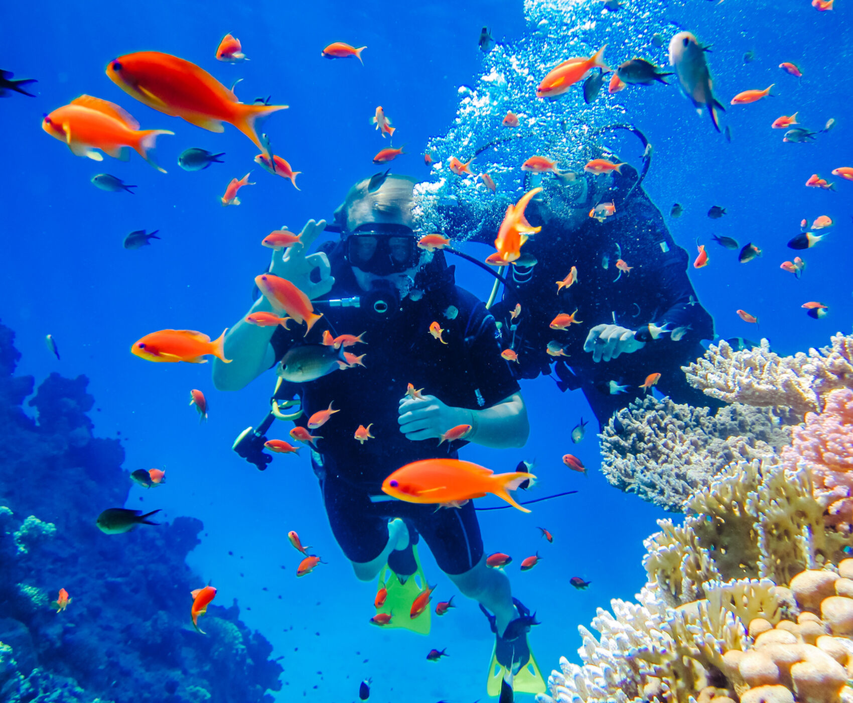 İZMİR ÇIKIŞLI HERŞEY DAHİL  KAHİRE & PİRAMİTLER & SHARM EL SHEİKH & KIZILDENİZDEKİ CENNET AKVARYUM!!!!!!