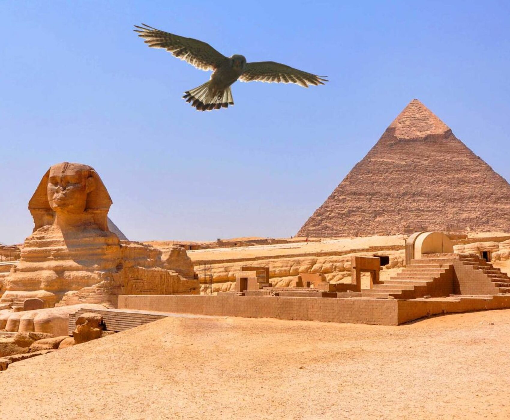 ANKARA ÇIKIŞLI HERŞEY DAHİL - KAHİRE & PİRAMİTLER & SHARM EL SHEİKH & KIZILDENİZDEKİ CENNET AKVARYUM!!!!!!