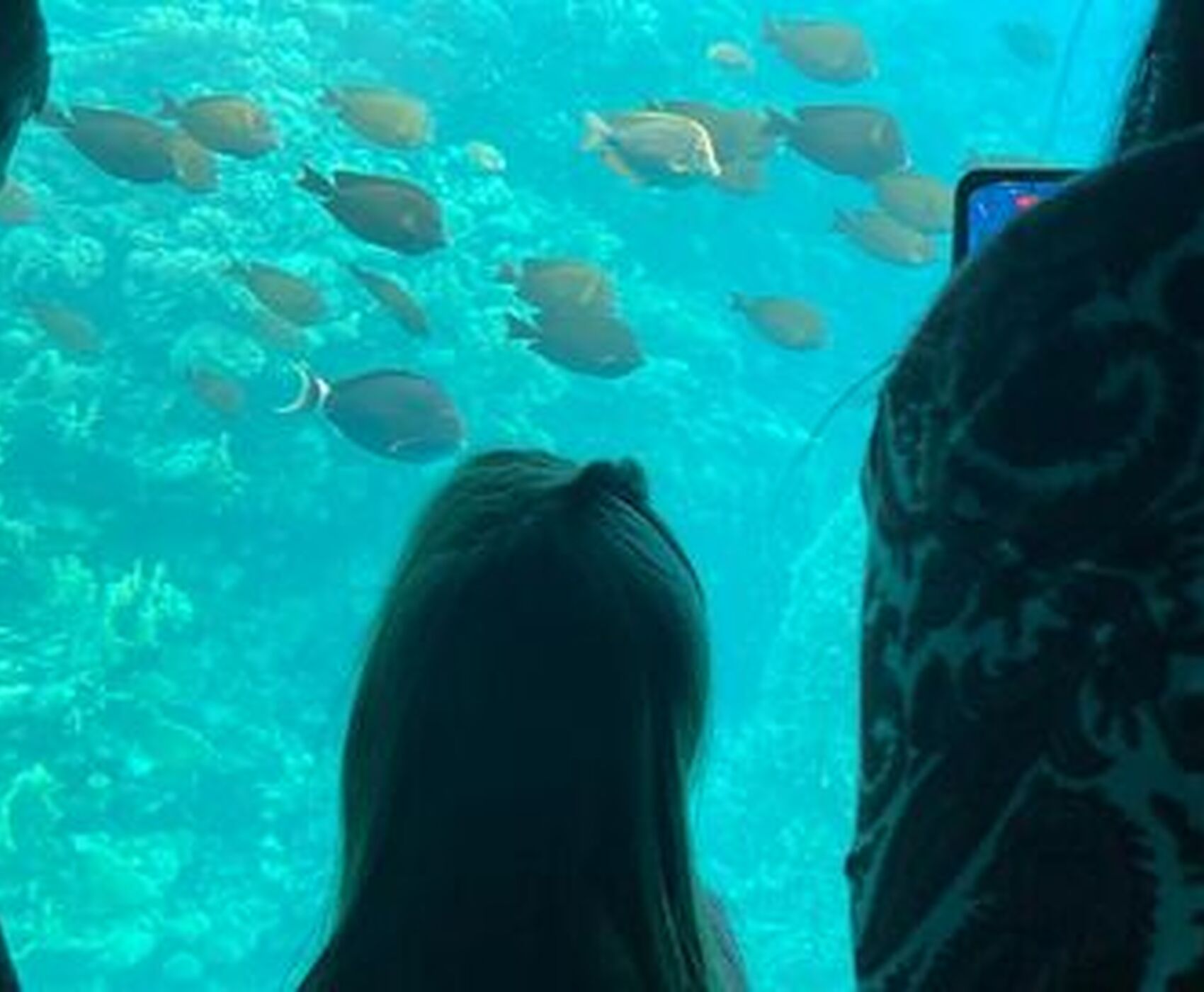 ANTALYA DAN DİREKT UÇAKLI SHARM EL SHEİKH & KAHİRE 3 GECE BAHAR DÖNEMİ