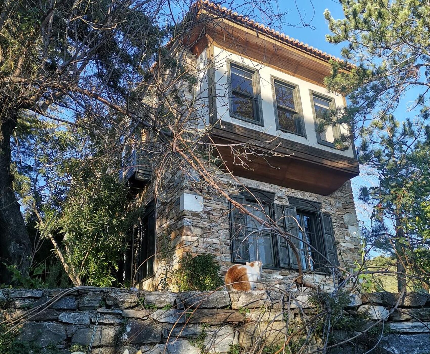 EGE'NİN EN RENKLİ KIŞ FESTİVALİ - NERGİS FESTİVALİ ROTASI