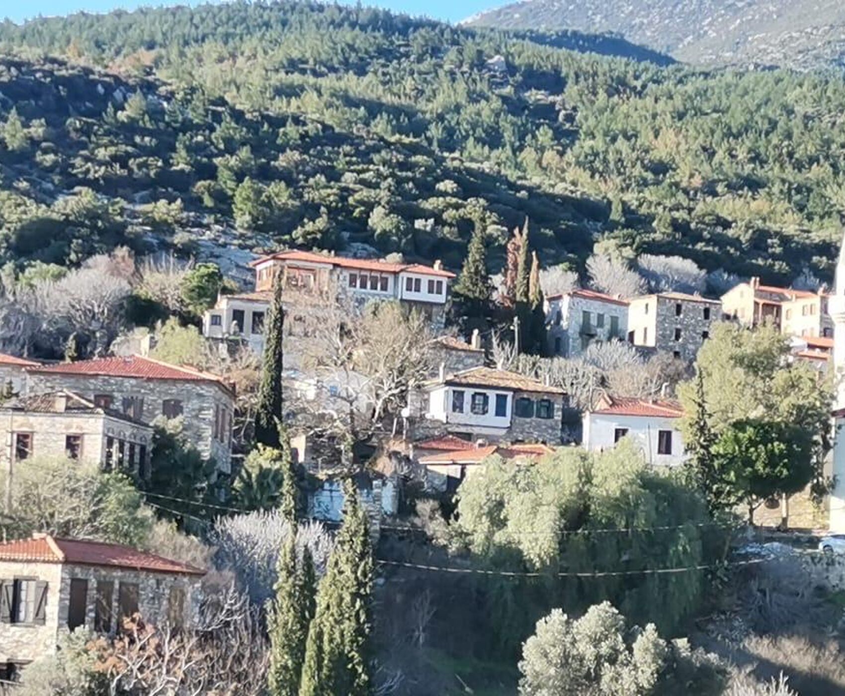 EGE'NİN EN RENKLİ KIŞ FESTİVALİ - NERGİS FESTİVALİ ROTASI