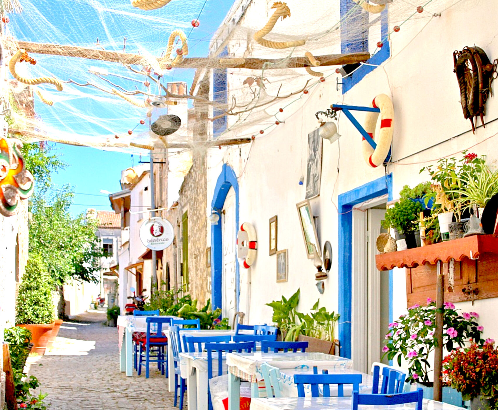 ALAÇATI OT FESTİVALİ