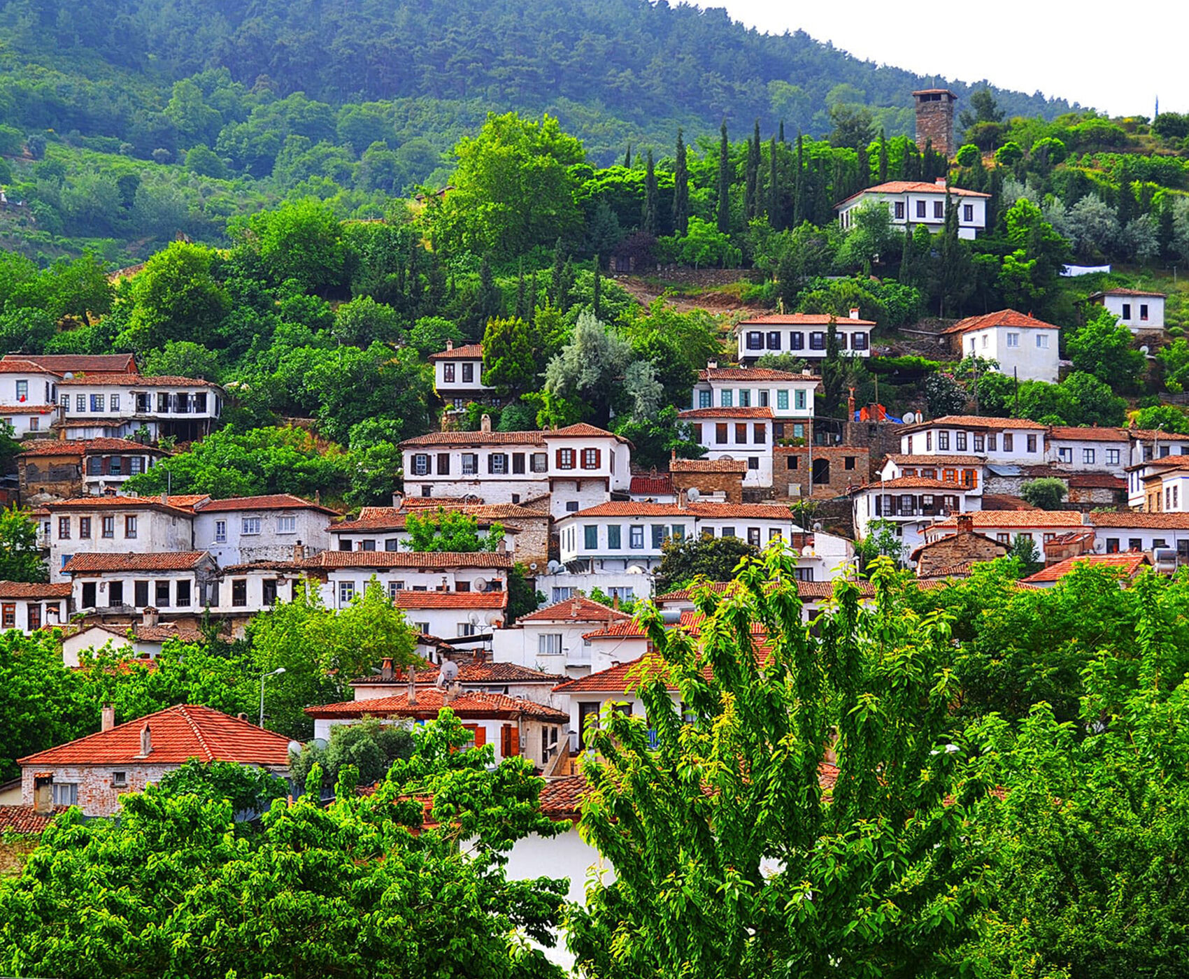 ALAÇATI OT FESTİVALİ