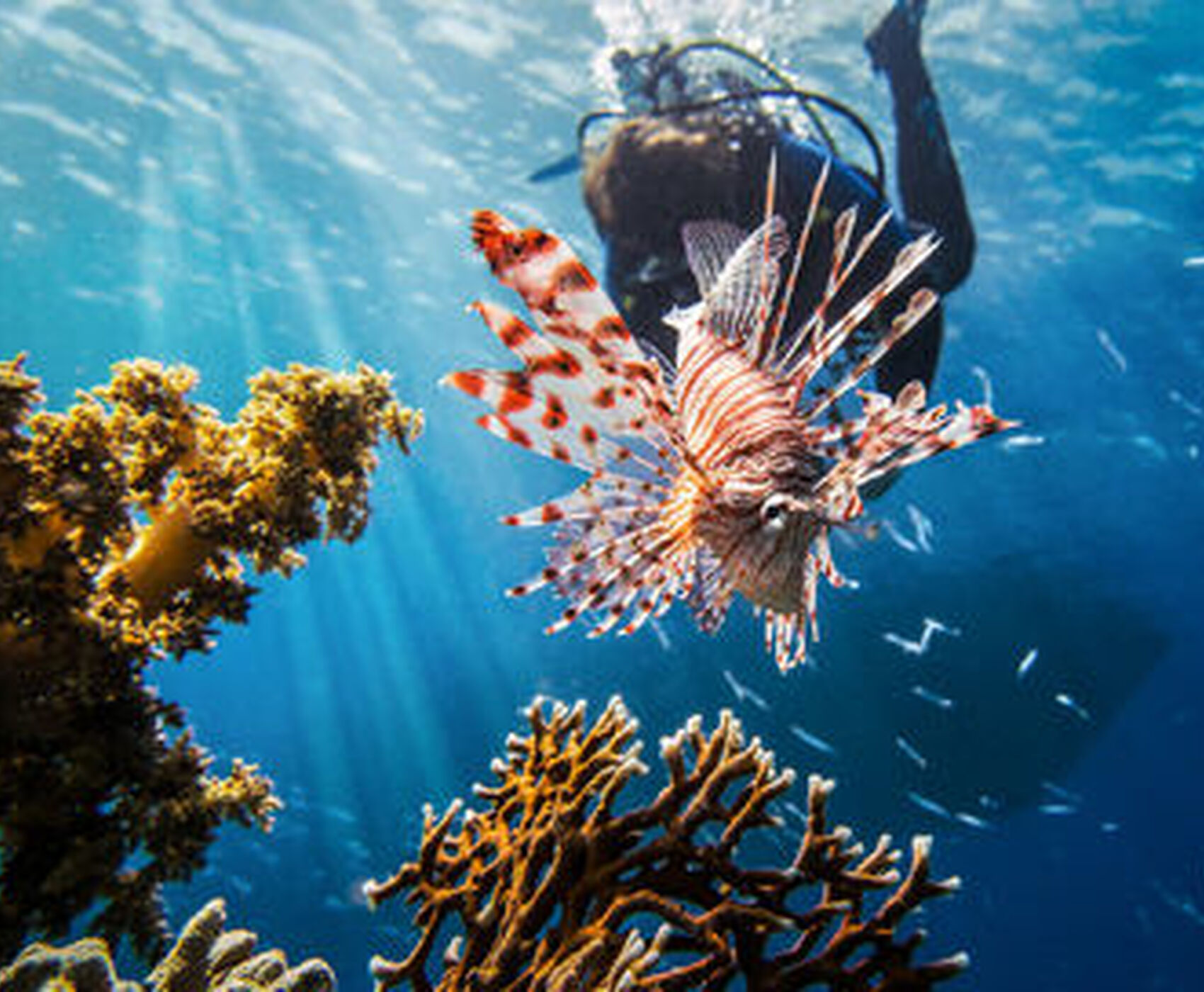 ANTALYA DAN DİREKT UÇAKLI SHARM EL SHEİKH & KAHİRE (ŞUBAT - MART)