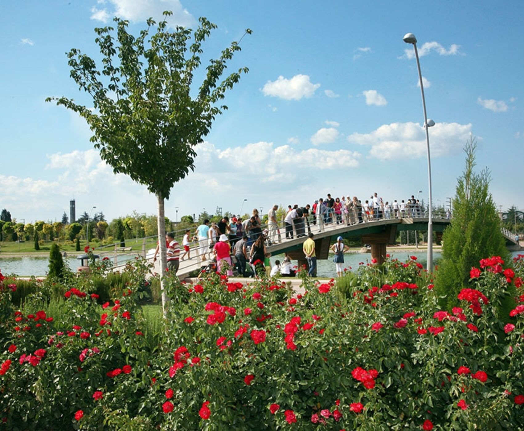 تور فریگ والی و اسکیشهیر